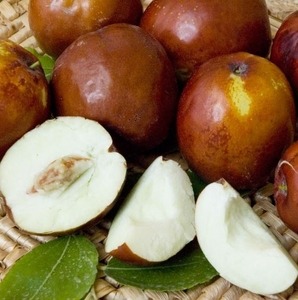 virágföld, utánfutó bérlés, gazdabolt, sövény, fű, kertészet, faiskola, gyümölcsfa, szőlő, bogyós, dísznövény